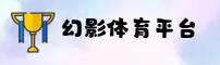 使用指南与常见问题